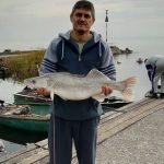 2017 10. 20. 5150 gr. 71 cm. MOHOSZ Szepezdfürdői Horgásztanyán fogott süllő